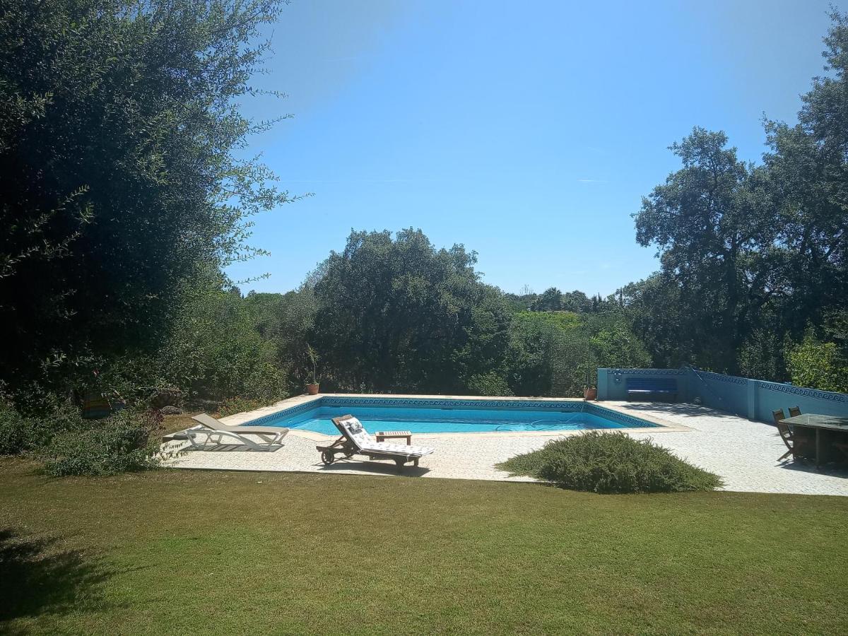 Sotogrande - Estancia En Plena Naturaleza - Abril Esterno foto